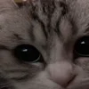 🥺