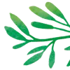 🌿