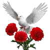 🕊