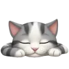 🐈