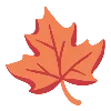 🍁
