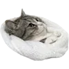 🐈