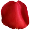 🌹