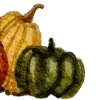🎃