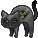 🐈‍⬛