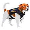 🐶