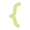 🌿