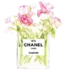 🌺