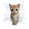 🐈‍⬛