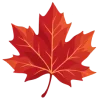 🍁