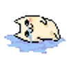 🩹