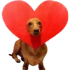 ❤️