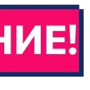 ‼️