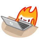 💻