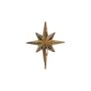 🌟