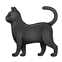 🐈‍⬛