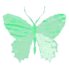 🦋