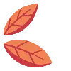 🍂