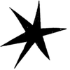 🌟
