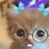 🤓