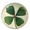 🍀