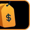 💸