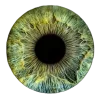 👁