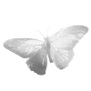 🦋