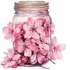 🌺