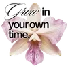 🌺