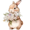 🐰