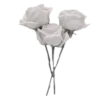 🌹