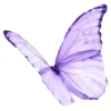 🦋