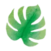 🌿