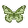 🦋