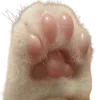 🐾