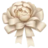 🌺