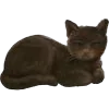 🐱