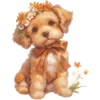 🐕