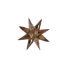 🌟