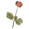 🥀