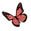🦋