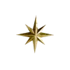 🌟