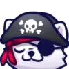 🏴‍☠️