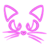 🐱