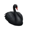🦢