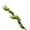 📯