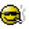 😎