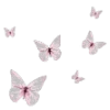 🦋