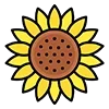🌻